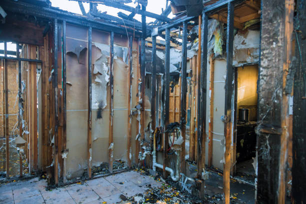 Professional Fire Damage Removal technician working in Jobstown, NJ