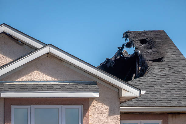 Top rated local Fire Damage Removal specialists in Jobstown, NJ